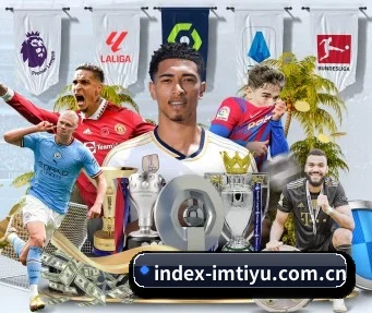 index-imtiyu.com.cn APP